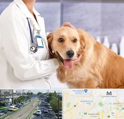 کلینیک دامپزشکی شبانه روزی در جنوب تهران