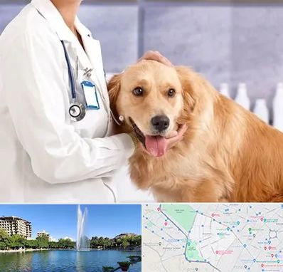 کلینیک دامپزشکی شبانه روزی در کوهسنگی مشهد