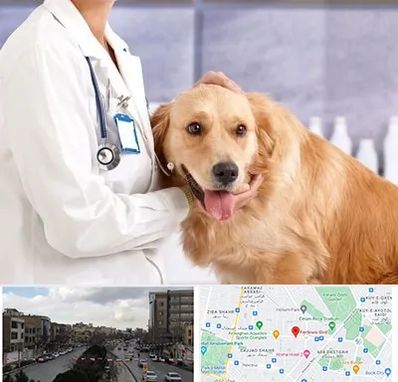 کلینیک دامپزشکی شبانه روزی در بلوار فردوسی مشهد