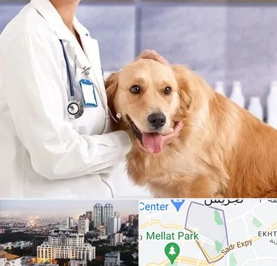 کلینیک دامپزشکی شبانه روزی در الهیه