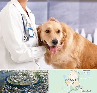 کلینیک دامپزشکی شبانه روزی در بابل
