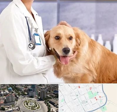 کلینیک دامپزشکی شبانه روزی در زرافشان اسلامشهر