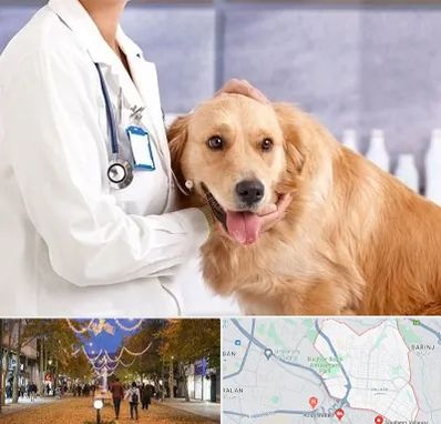 کلینیک دامپزشکی شبانه روزی در ولیعصر ارومیه