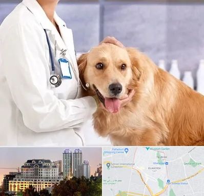 کلینیک دامپزشکی شبانه روزی در فرشته
