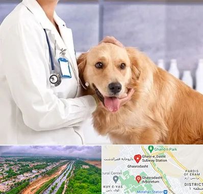 کلینیک دامپزشکی شبانه روزی در قصرالدشت شیراز