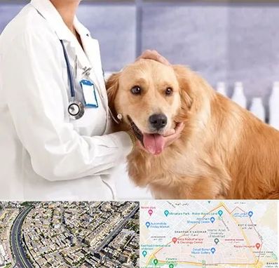 کلینیک دامپزشکی شبانه روزی در شهرک غرب مشهد