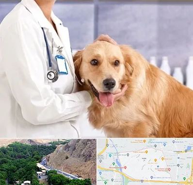 کلینیک دامپزشکی شبانه روزی در کن