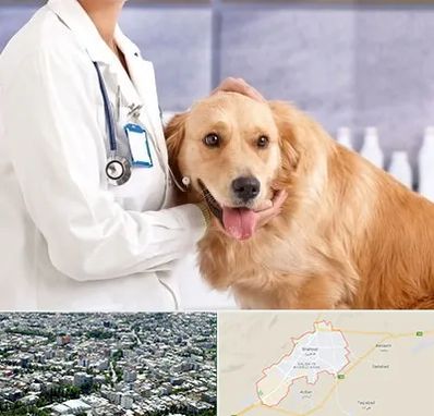 کلینیک دامپزشکی شبانه روزی در شاهرود