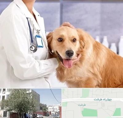 کلینیک دامپزشکی شبانه روزی در طرشت