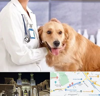 کلینیک دامپزشکی شبانه روزی در زرگری شیراز