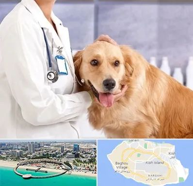 کلینیک دامپزشکی شبانه روزی در کیش