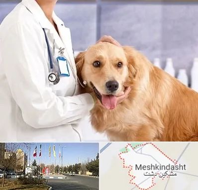 کلینیک دامپزشکی شبانه روزی در مشکین دشت