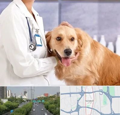 کلینیک دامپزشکی شبانه روزی در توانیر