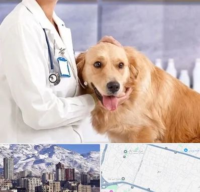 کلینیک دامپزشکی شبانه روزی در ازگل