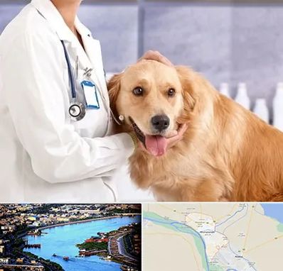 کلینیک دامپزشکی شبانه روزی در خرمشهر