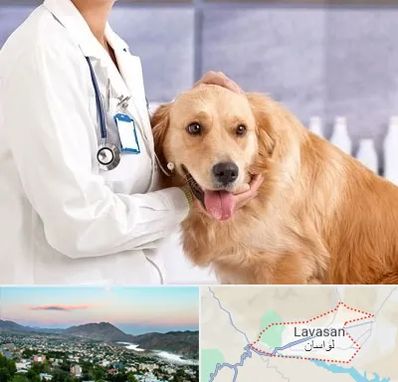 کلینیک دامپزشکی شبانه روزی در لواسان