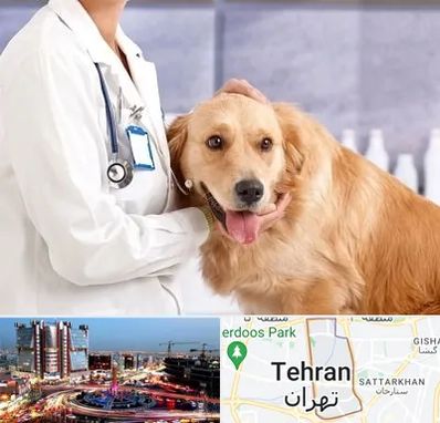 کلینیک دامپزشکی شبانه روزی در صادقیه