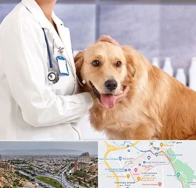 کلینیک دامپزشکی شبانه روزی در معالی آباد شیراز