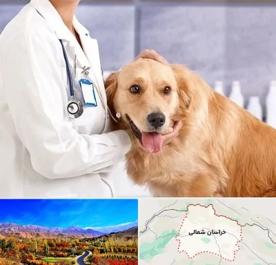 کلینیک دامپزشکی شبانه روزی در خراسان شمالی