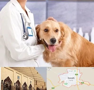 کلینیک دامپزشکی شبانه روزی در ساوه