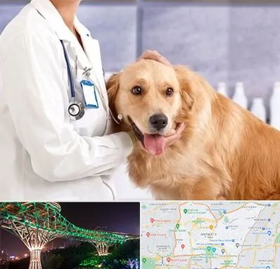 کلینیک دامپزشکی شبانه روزی در منطقه 3 تهران