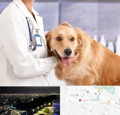 کلینیک دامپزشکی شبانه روزی در هفت تیر مشهد