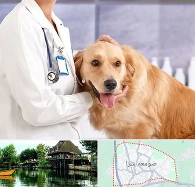 کلینیک دامپزشکی شبانه روزی در صومعه سرا