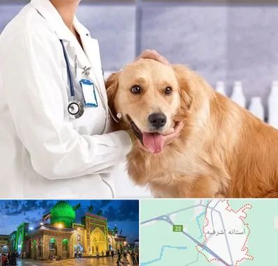 کلینیک دامپزشکی شبانه روزی در آستانه اشرفیه