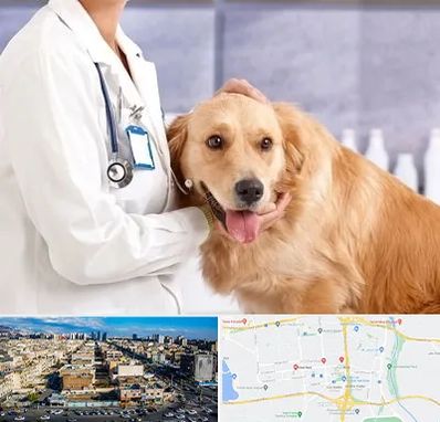 کلینیک دامپزشکی شبانه روزی در شهرک راه آهن