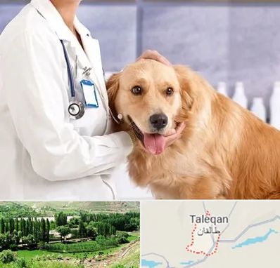 کلینیک دامپزشکی شبانه روزی در طالقان