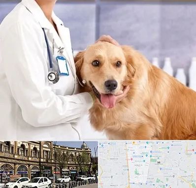 کلینیک دامپزشکی شبانه روزی در منطقه 11 تهران