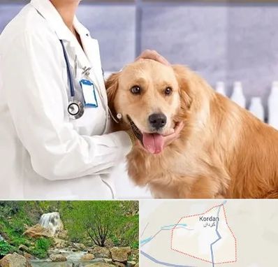 کلینیک دامپزشکی شبانه روزی در کردان