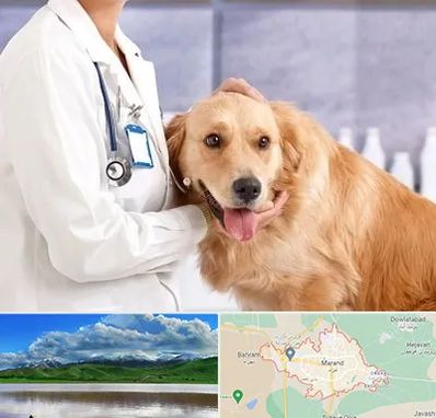 کلینیک دامپزشکی شبانه روزی در مرند