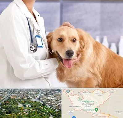 کلینیک دامپزشکی شبانه روزی در شهرکرد