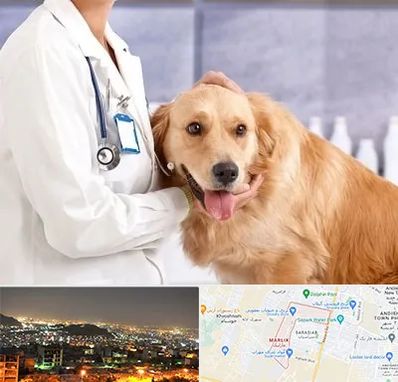 کلینیک دامپزشکی شبانه روزی در مارلیک کرج