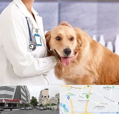 کلینیک دامپزشکی شبانه روزی در بلوار فردوس