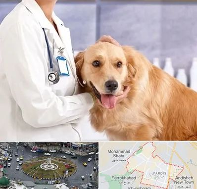 کلینیک دامپزشکی شبانه روزی در فردیس کرج