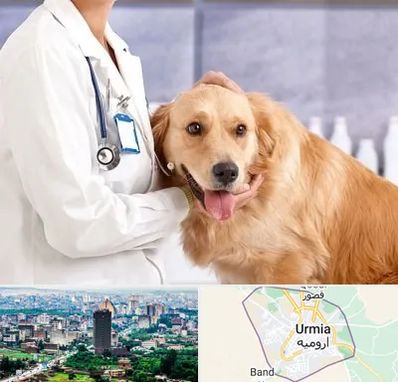 کلینیک دامپزشکی شبانه روزی در ارومیه