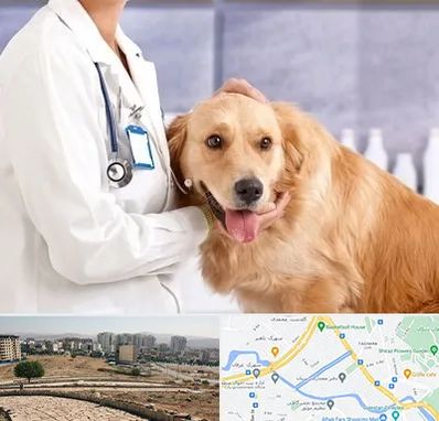 کلینیک دامپزشکی شبانه روزی در کوی وحدت شیراز