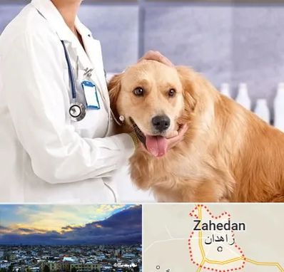 کلینیک دامپزشکی شبانه روزی در زاهدان