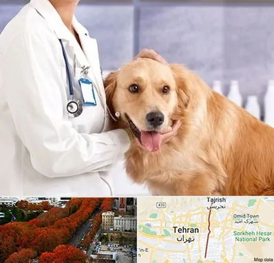 کلینیک دامپزشکی شبانه روزی در ولیعصر