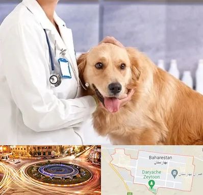 کلینیک دامپزشکی شبانه روزی در بهارستان