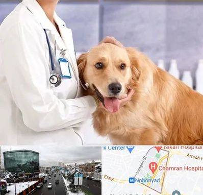 کلینیک دامپزشکی شبانه روزی در اقدسیه