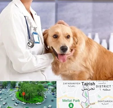 کلینیک دامپزشکی شبانه روزی در تجریش