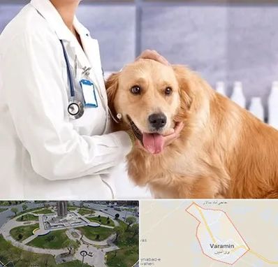 کلینیک دامپزشکی شبانه روزی در ورامین