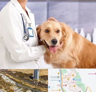 کلینیک دامپزشکی شبانه روزی در خیابان نیایش شیراز