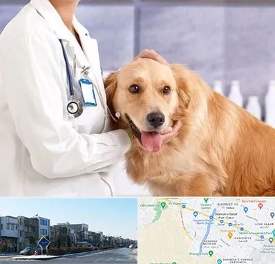 کلینیک دامپزشکی شبانه روزی در شریعتی مشهد