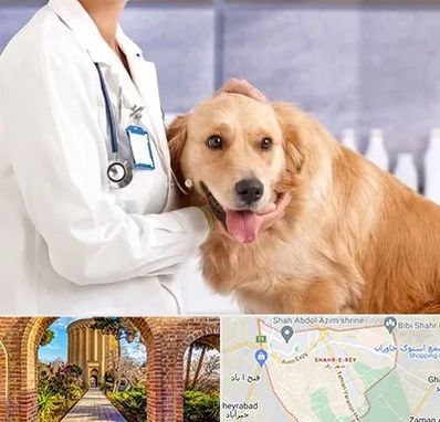کلینیک دامپزشکی شبانه روزی در شهر ری