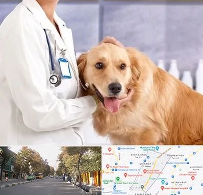 کلینیک دامپزشکی شبانه روزی در شریعتی