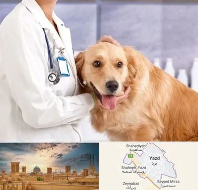 کلینیک دامپزشکی شبانه روزی در یزد